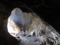 Hallourhöhle und Waxeneckhaus (Steinhof)